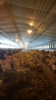 5820 Coal Bank Rd, Sharon Grove, KY 42280